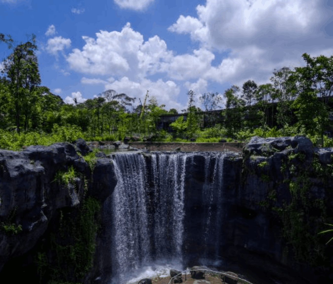 Scenic waterfall surrounded by lush tropical greenery at Bird Paradise Singapore, a nature attraction ideal for family day trips and weekend activities.