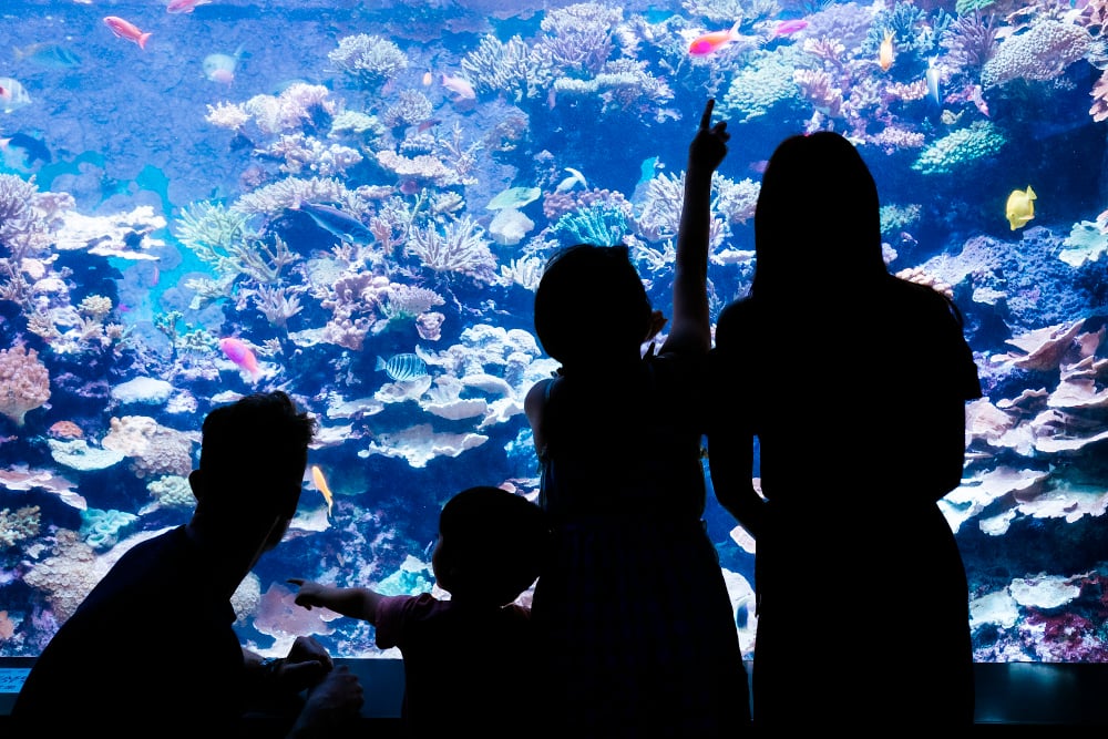 3 days Singapore itinerary with city pass