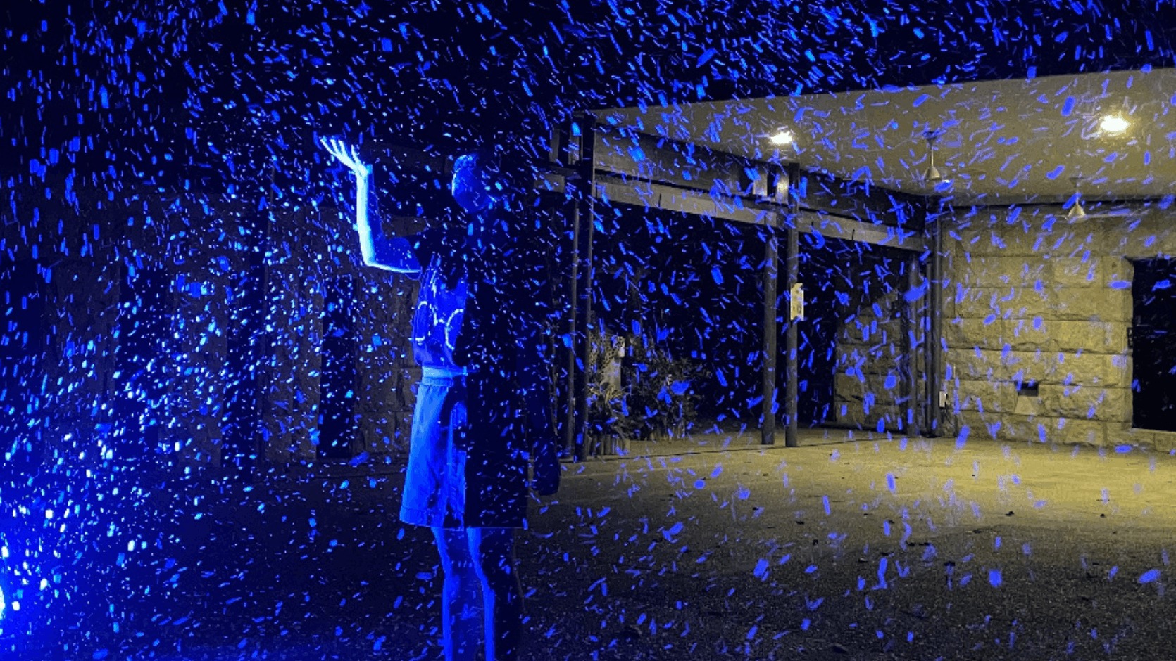 Christmas in the Wild at Night Safari Singapore