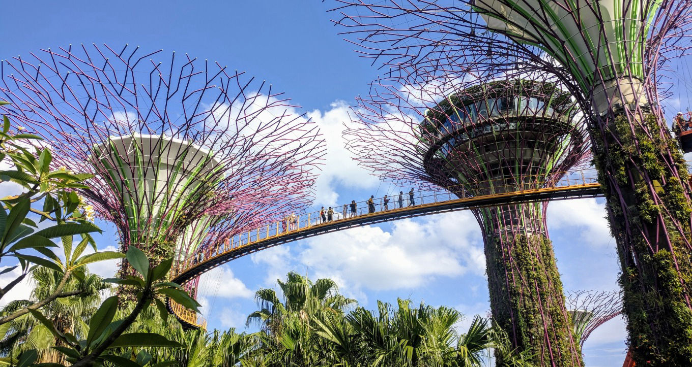 Gardens by the bay Singapore