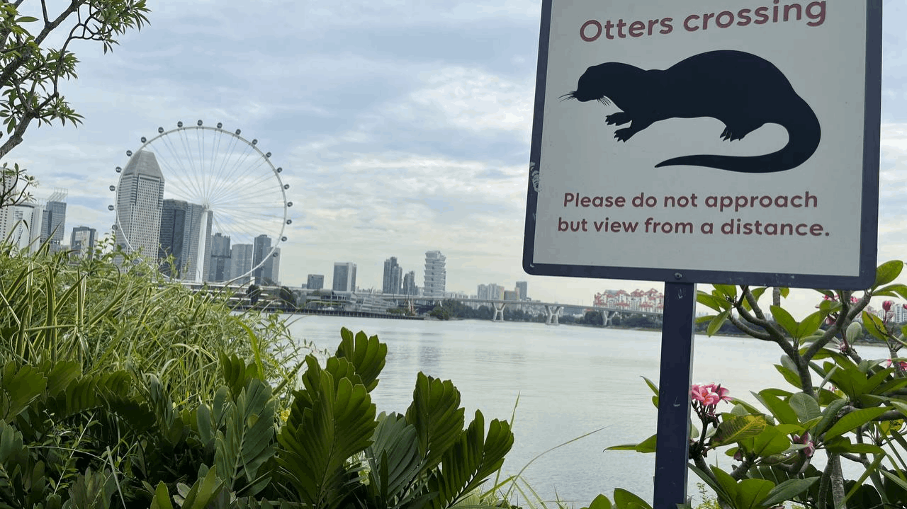 Gardens by the Bay Singapore