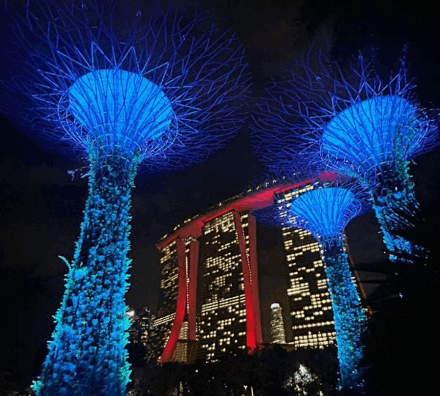 Stunning view of Gardens by the Bay in Singapore with Supertree Grove and Indian tourists exploring the scenic landscape.