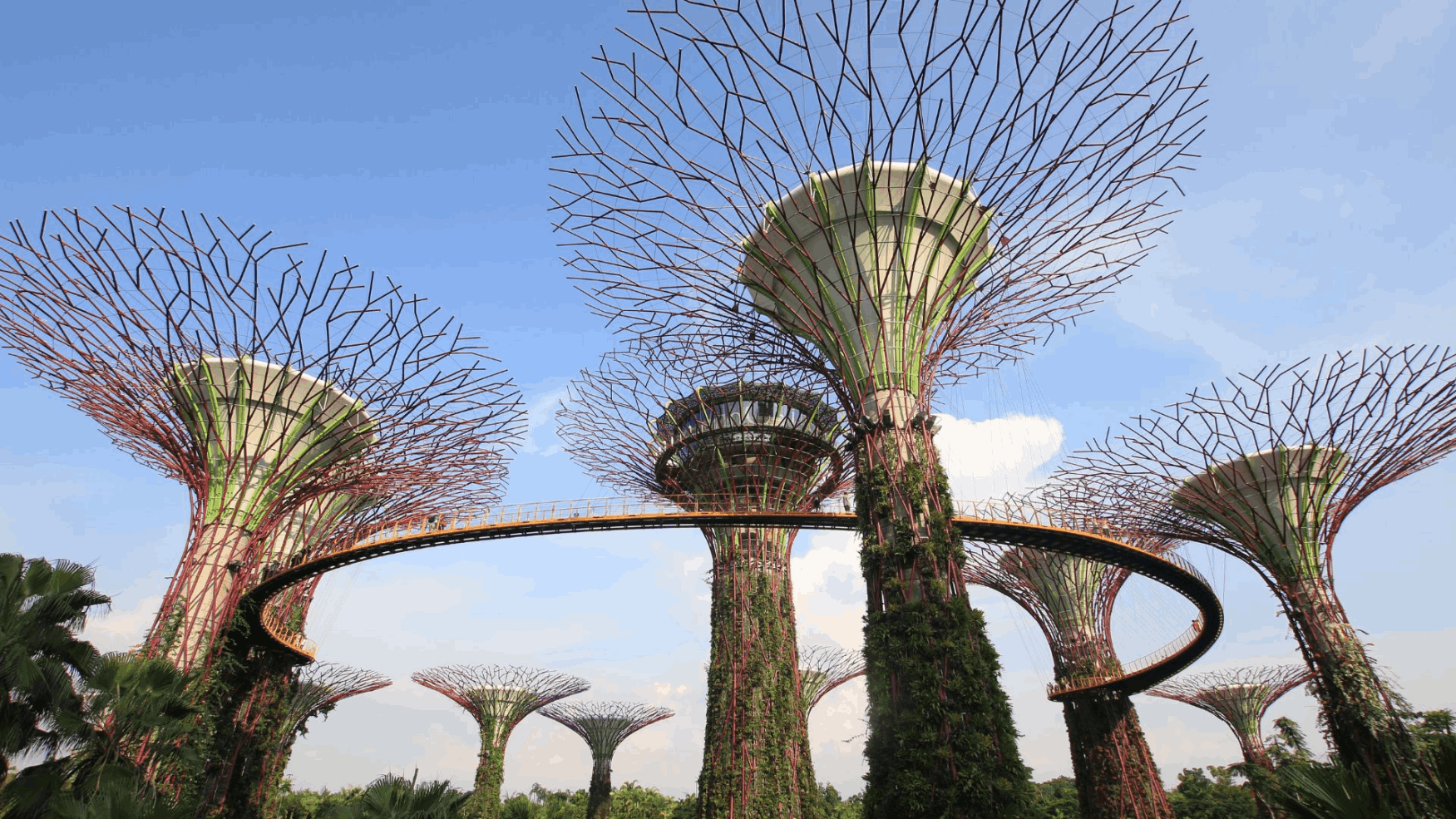 Gardens by the Bay in Singapore featuring the iconic Supertree Grove, Flower Dome, and Cloud Forest in a futuristic garden setting.