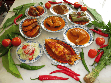 Halal Nasi Padang at Singapore Clarke Quay