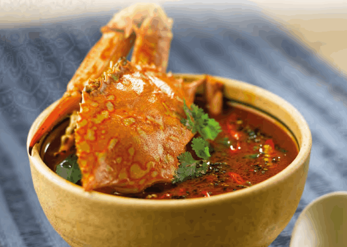 Halal North Indian Food at Little India Singapore