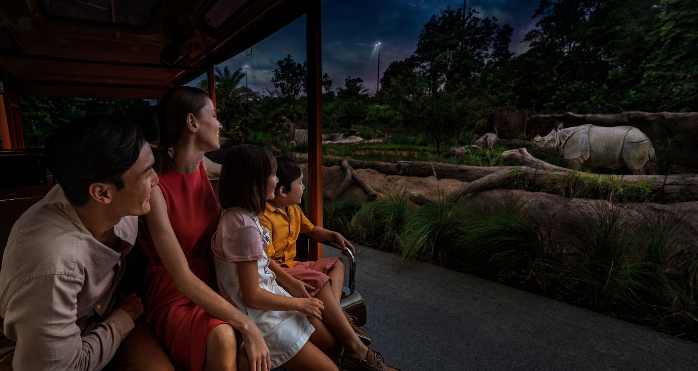 Singaore Night Safari Tram Experience