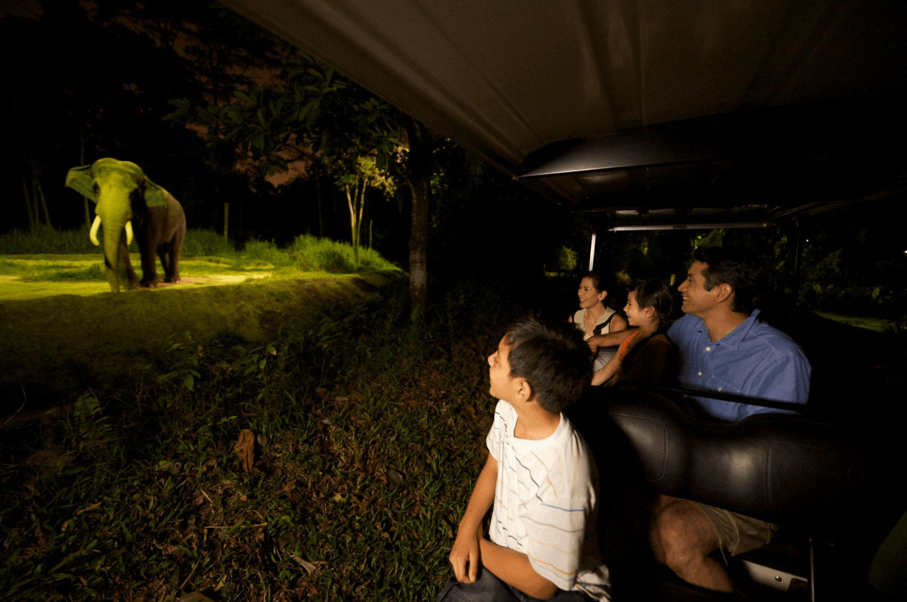 Family viewing an elephant during the Night Safari tram ride, a unique after-dark wildlife experience for visitors in Singapore.rea to explore in Singapore.