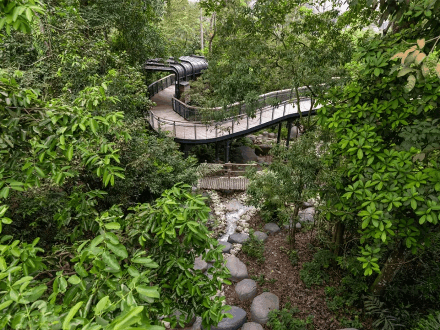 Elevated forest walkway winding through lush tropical greenery at Rainforest Wild Asia Singapore, an outdoor nature adventure attraction for families and weekend explorers.