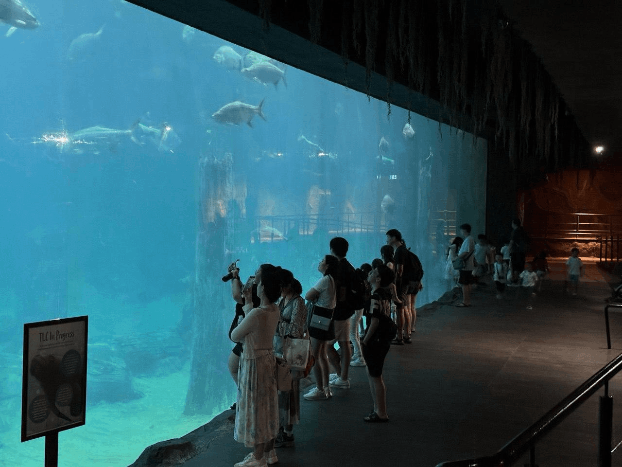 Indian family discovering wildlife and river-themed exhibits at River Wonders Singapore