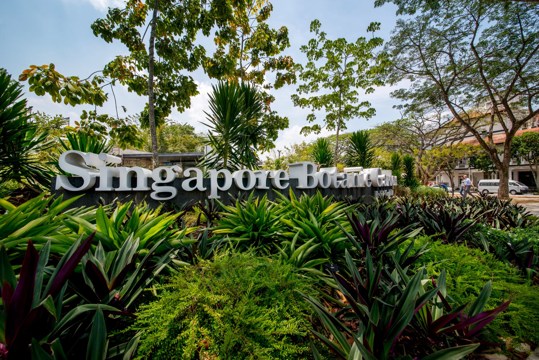 Singapore Botanic Gardens