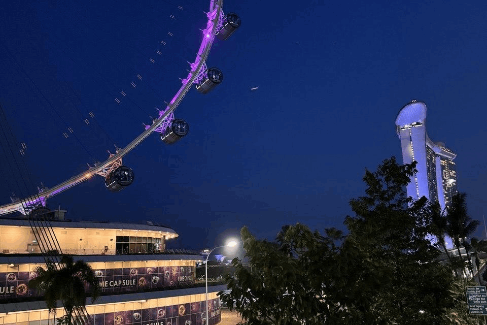 The Singapore Flyer illuminated in purple and blue lights at night, with the Time Capsule building and Marina Bay skyline in the background.