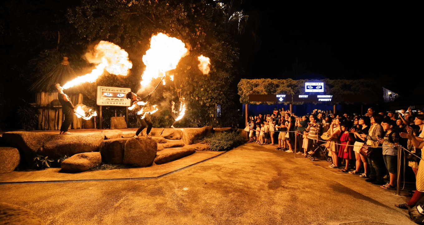 Fire performers entertaining a crowd at the entrance of the Night Safari Singapore during an evening show, with flames lighting up the stage.