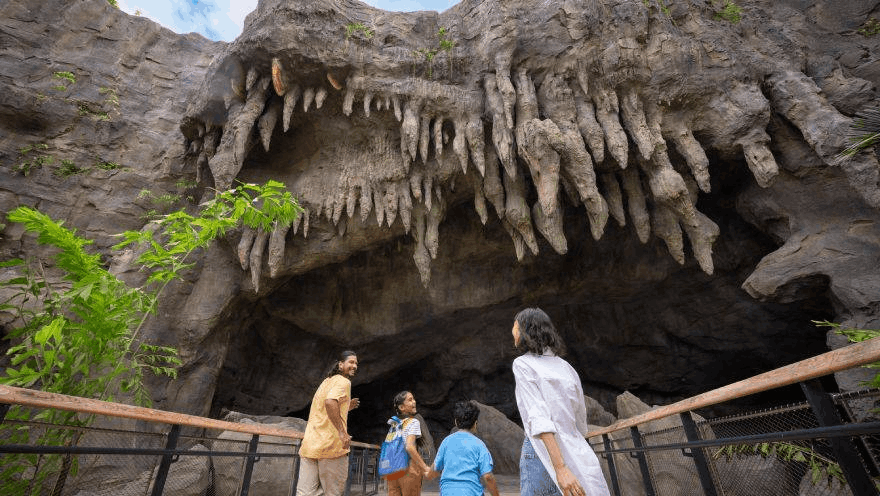 Rainforest Wild Asia