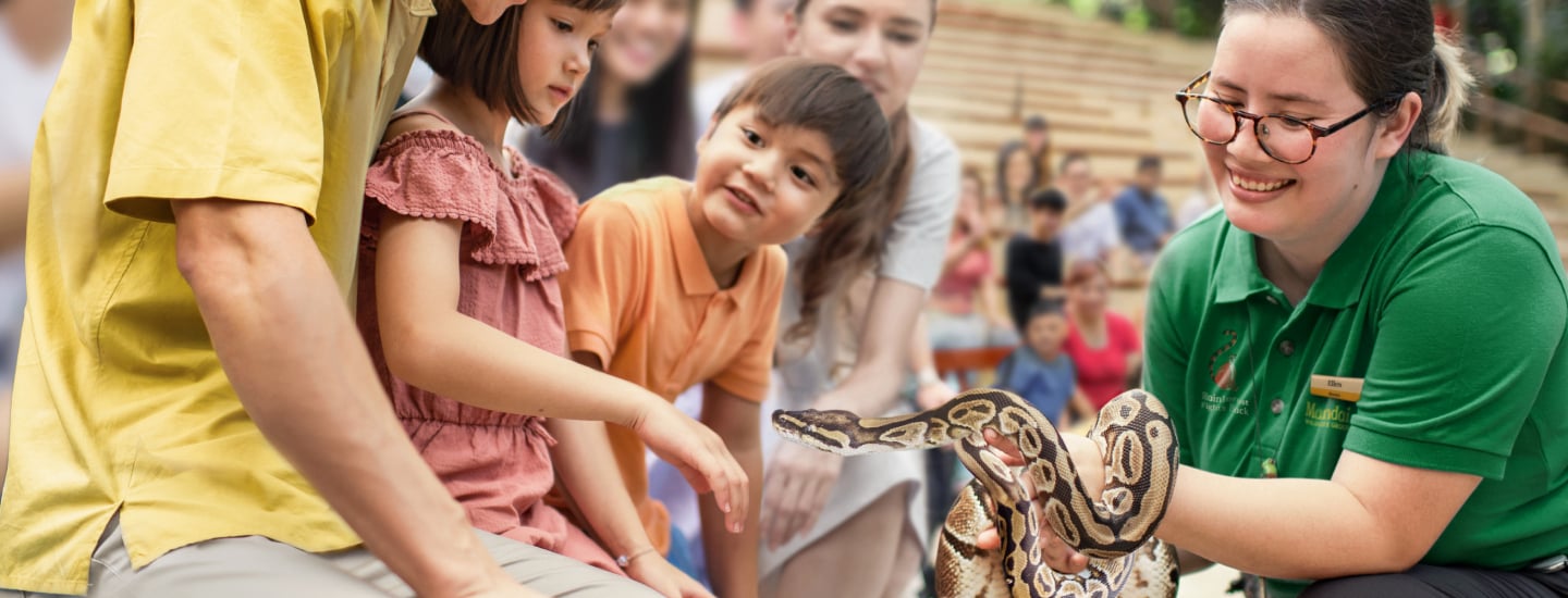 An exciting animal show at Singapore Zoo featuring exotic wildlife.